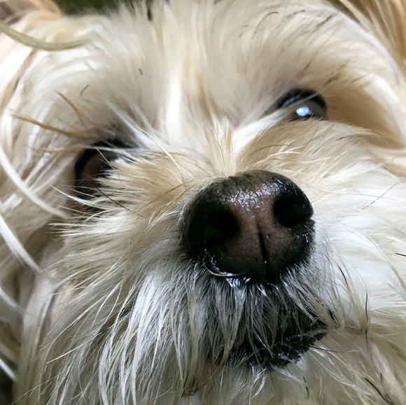 Meet your Posher, Jill - Picture 1 of 1